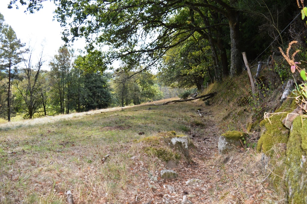 Levade